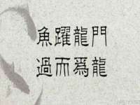 徐州耶底底亚商贸有限公司