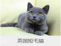 徐州耶底底亚商贸有限公司