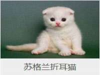 徐州耶底底亚商贸有限公司