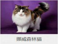 徐州耶底底亚商贸有限公司