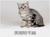 徐州耶底底亚商贸有限公司