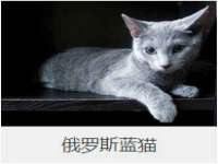 徐州耶底底亚商贸有限公司