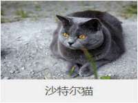 徐州耶底底亚商贸有限公司