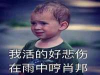 徐州耶底底亚商贸有限公司