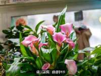 徐州耶底底亚商贸有限公司