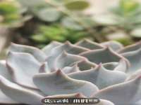 徐州耶底底亚商贸有限公司