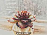 徐州耶底底亚商贸有限公司
