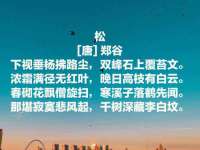徐州耶底底亚商贸有限公司