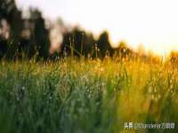 徐州耶底底亚商贸有限公司
