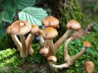徐州耶底底亚商贸有限公司
